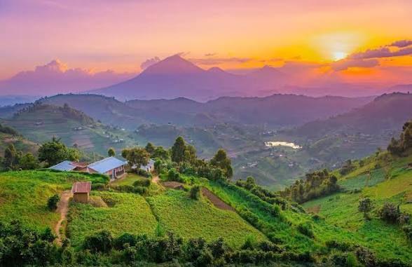 The Pearl of Africa